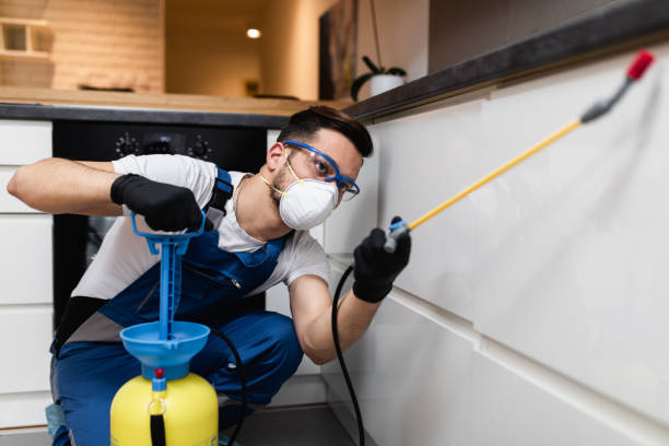 Best Pest Removal Services  in Fairmead, CA