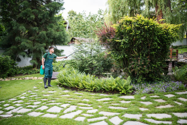 Professional Pest Control in Fairmead, CA