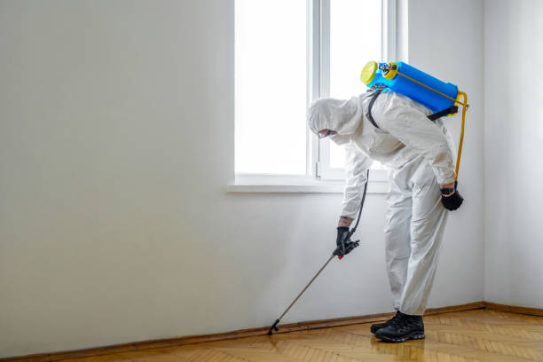 Best Exterminator Services  in Fairmead, CA