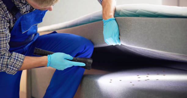Best Insect Control  in Fairmead, CA