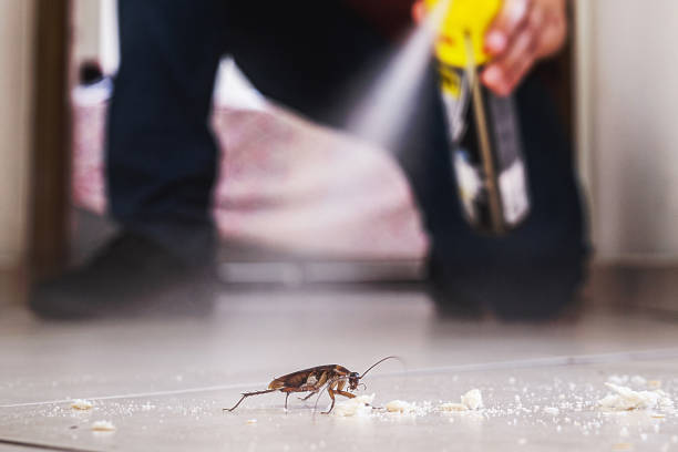 Best Mosquito Control Services  in Fairmead, CA