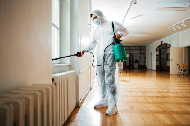 Best Local Pest Control Services  in Fairmead, CA